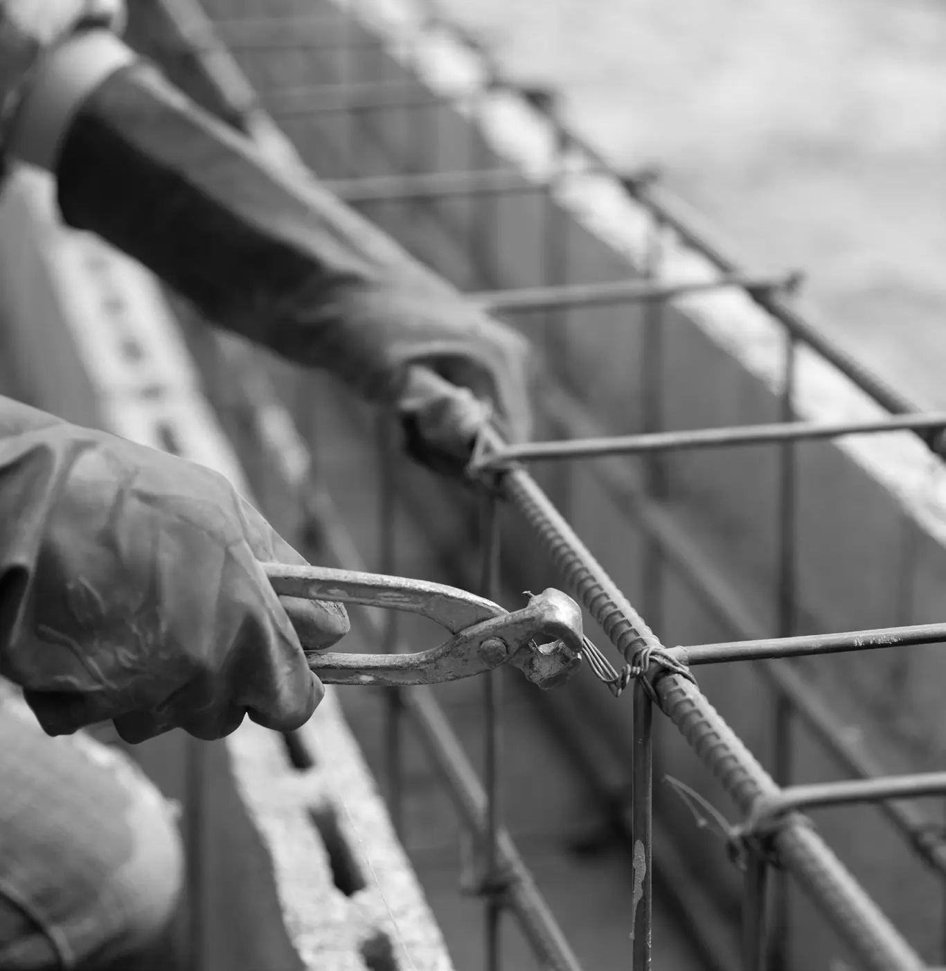 MUJO - COMPANY PROFILE 2024-4 https://mujo.vn/wp-content/uploads/2025/10/MUJO-COMPANY-PROFILE-2024-4.webp